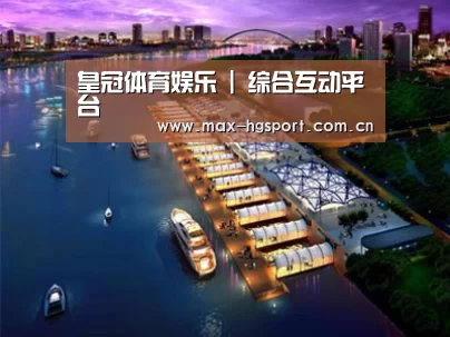 案例展示八
