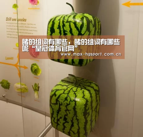 皇冠体育