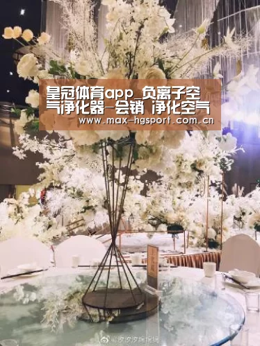 皇冠体育app_负离子空气净化器-会销 净化空气(图2) 皇冠体育官网