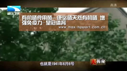 皇冠体育官网